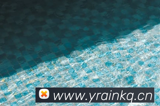 App Interface Preview