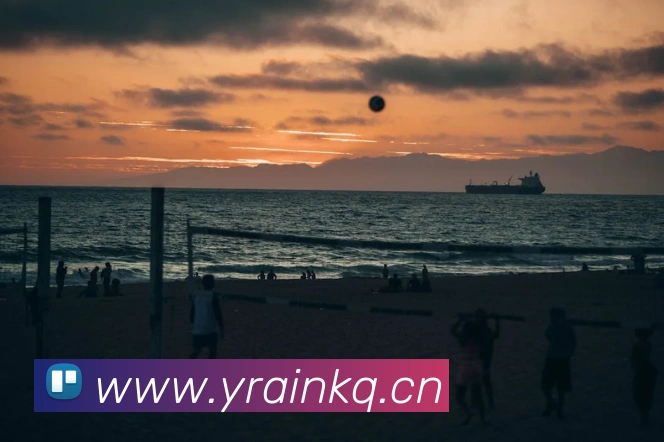 开云手机在线官网登录APP 封面图